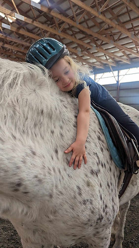 441075281_1117944036165117_4782358334852800058_n (1).jpg