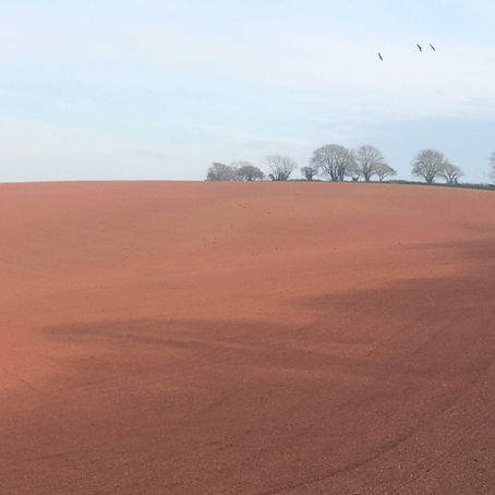 The Beauty of Nature