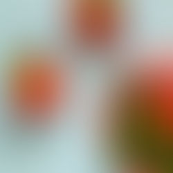 Strawberry Season at Dove Cottage, Devon.