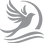 Dove Silohette grey 50.png
