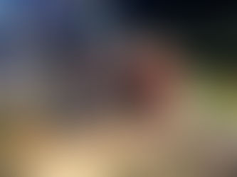 WalmartLand, Arkansas!