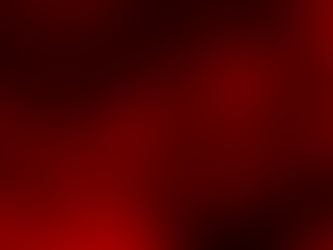 A Day in the Life of - Phil Cook & the Fall Dogs ( Interviewer: Andy Carr musician, journalist) 