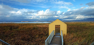 alviso san jose.jpg