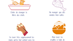 Prévention de la toxoplasmose