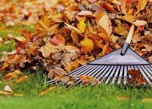 Gartenpflege Rasenschnitt Rasenmähen
Laub rechen