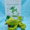 Thumbnail: Hoppy Frog Kindness Kit