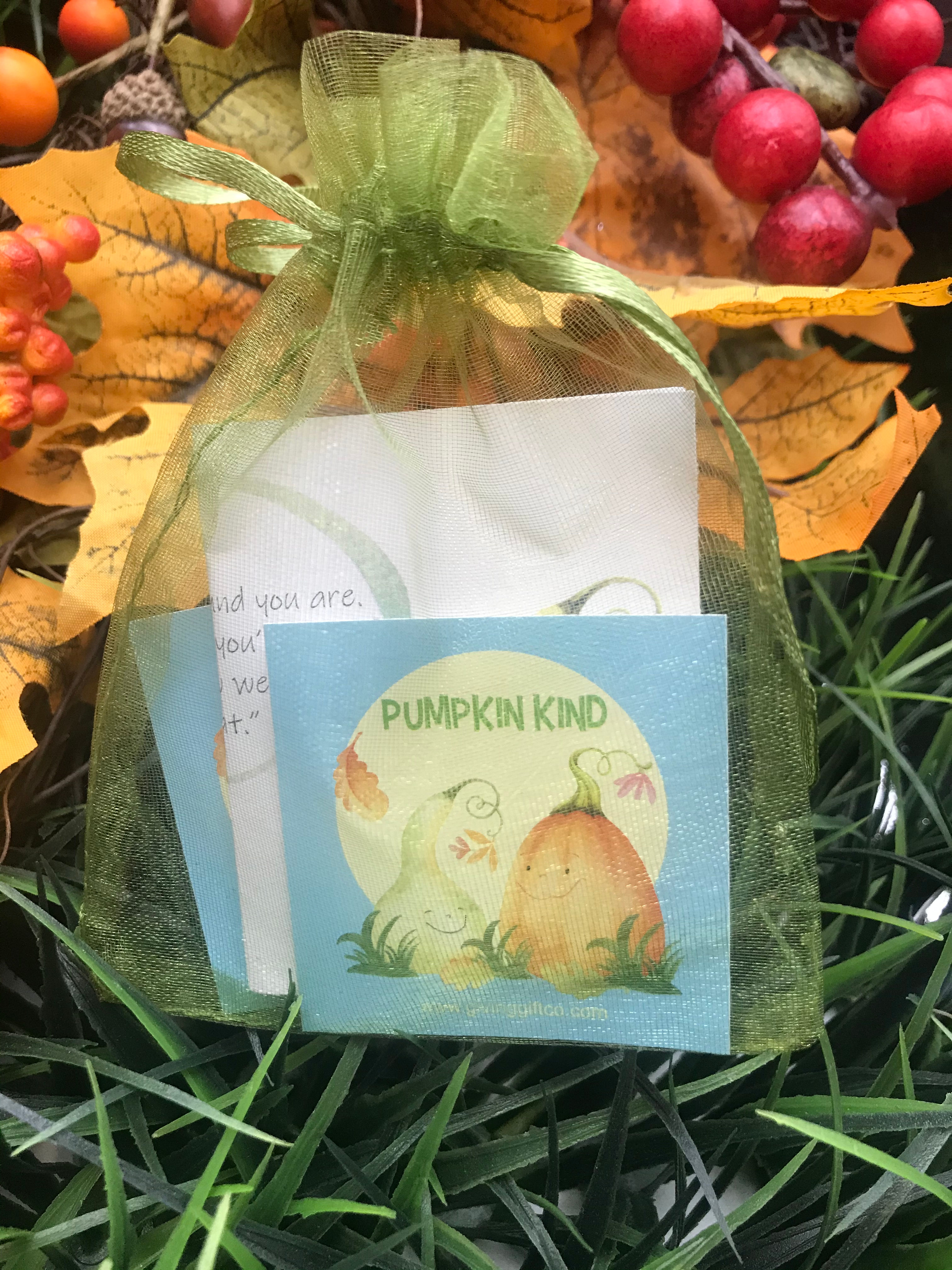 Pumpkin Kind Mini Kit