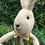 Thumbnail: "Orville" Bunny