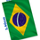 Miniatura: BANDEIRA DO BRASIL