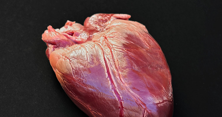 heart angle a5 copy.jpg