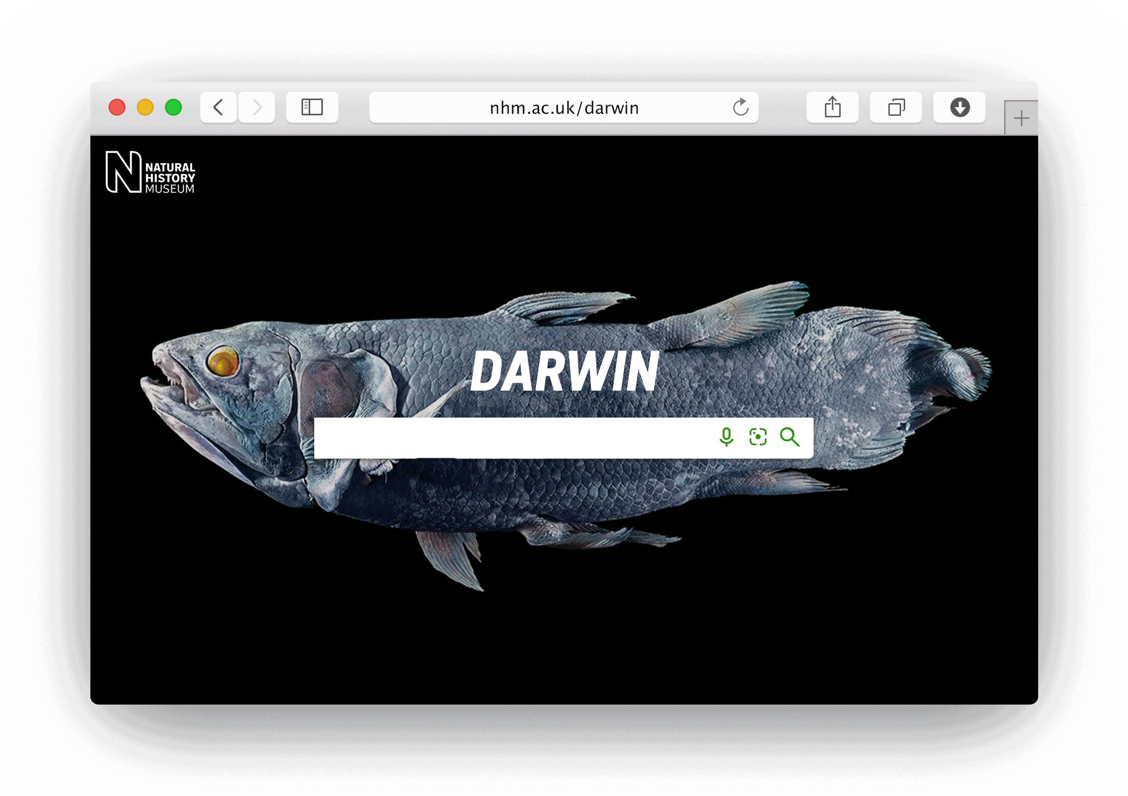 DARWIN-MOCKUP.gif