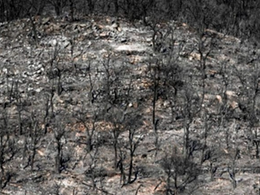 Un territori unit davant el foc