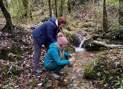 Raiz conexión con la naturaleza, retiro personalizado, volver a ti, wellness Patagonia