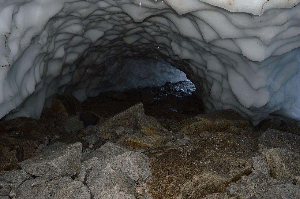 cochamo, la junta, glaciar, la paloma, trekking, hiking