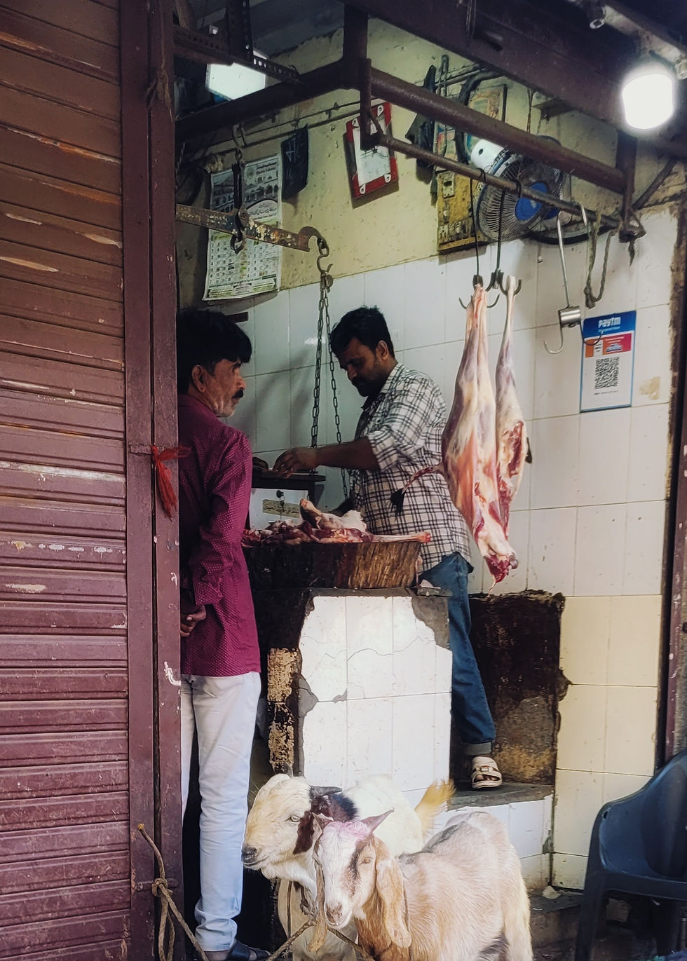 Two corners away from my hostel—which was in an Islamic neighborhood in the slums, with no English speakers, and where I had slept alongside eleven other men in bunk beds—I walked past this butcher shop at 6 am. If you look closely, what might seem bizarre to some are the live goats standing right next to the slaughtered and displayed ones. What chaos—and what to imagine awaits them! Yet, on the tiled wall behind, there’s a QR code for Paytm, allowing people to buy meat digitally with their phones. It's an interesting juxtaposition and provides a glimpse of how India employs technologies.