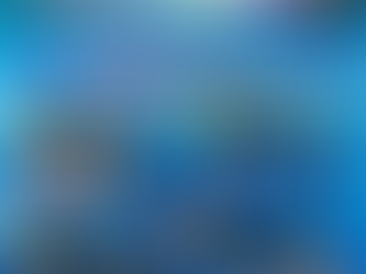 ð A Small Gift, A Big Sense of Safety