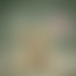 This Memorial Day, We Remember