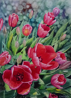 Tulips