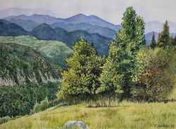 Bulgarian nature landscape
