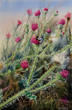 thistles