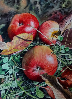 apples