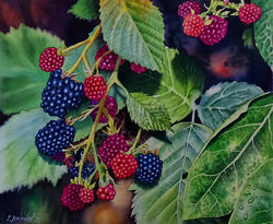 blackberry