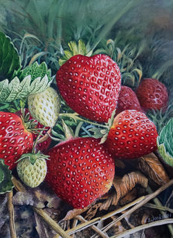 Strawberries 1