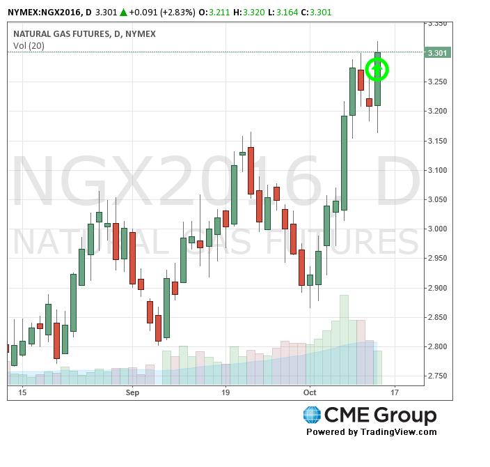 CME Natural Gas Futures 9-8-16 (CMEGroup.com)