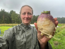 Veckans grönsaker vecka 32 - 2025