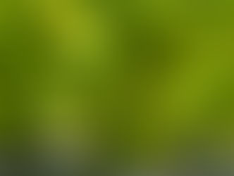 Veckans grönsaker vecka 35 - 2025