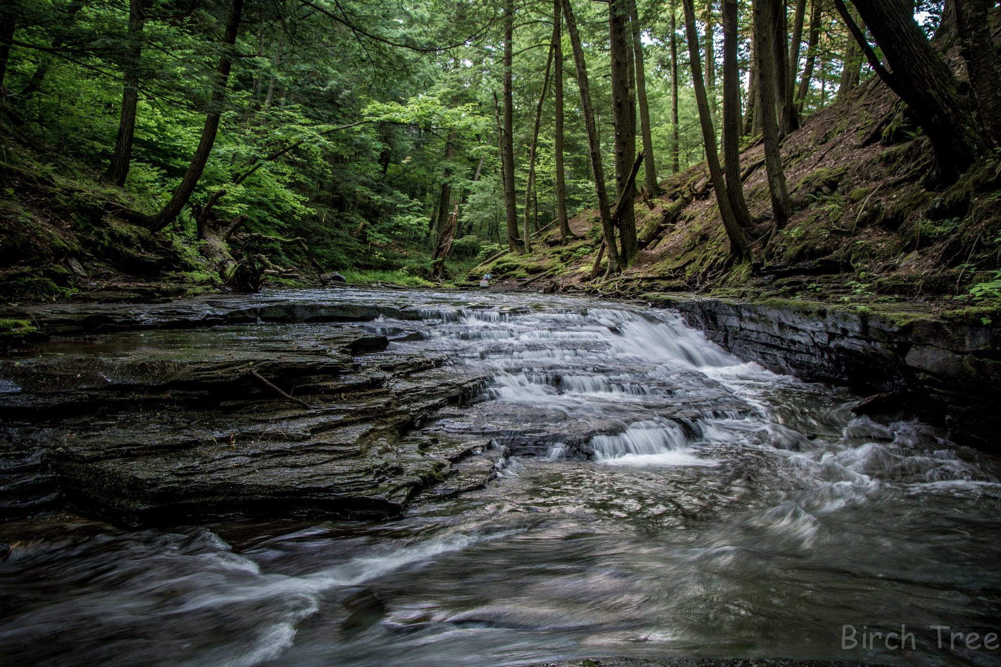 Oneonta Ny Real Estate