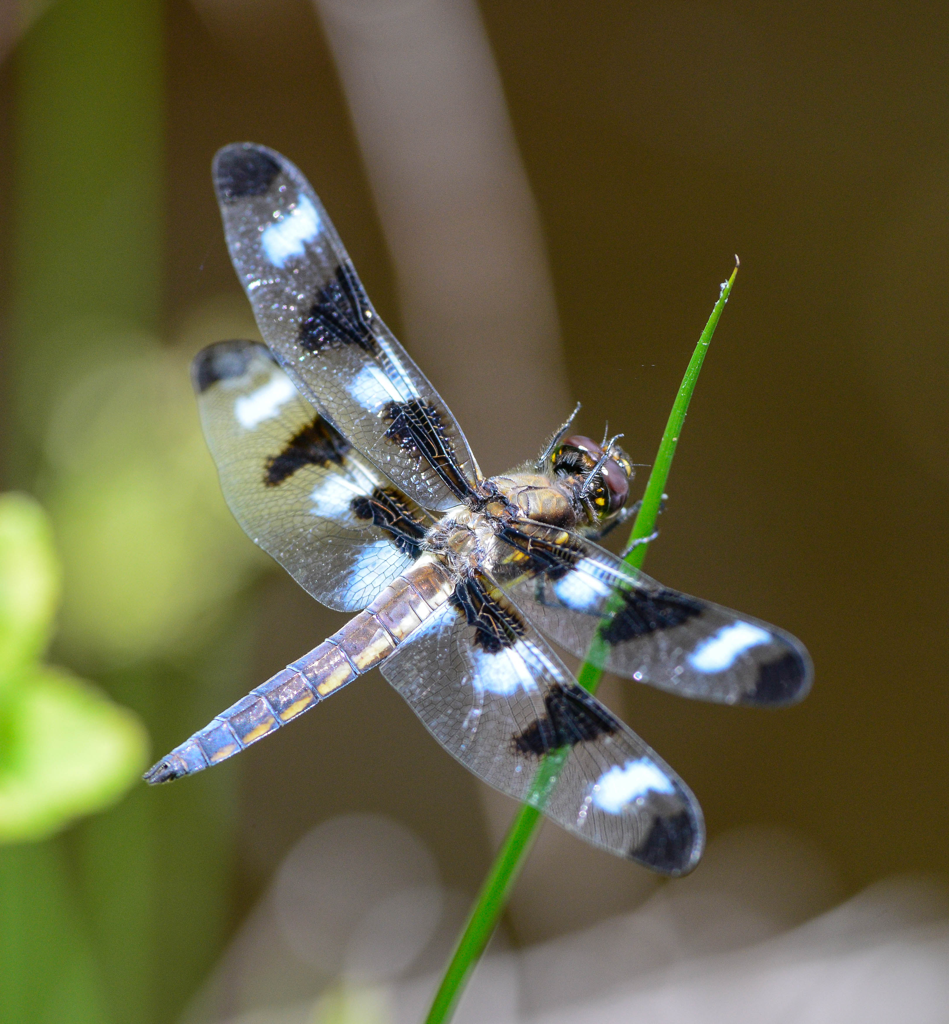 Oneonta Ny Real Estate