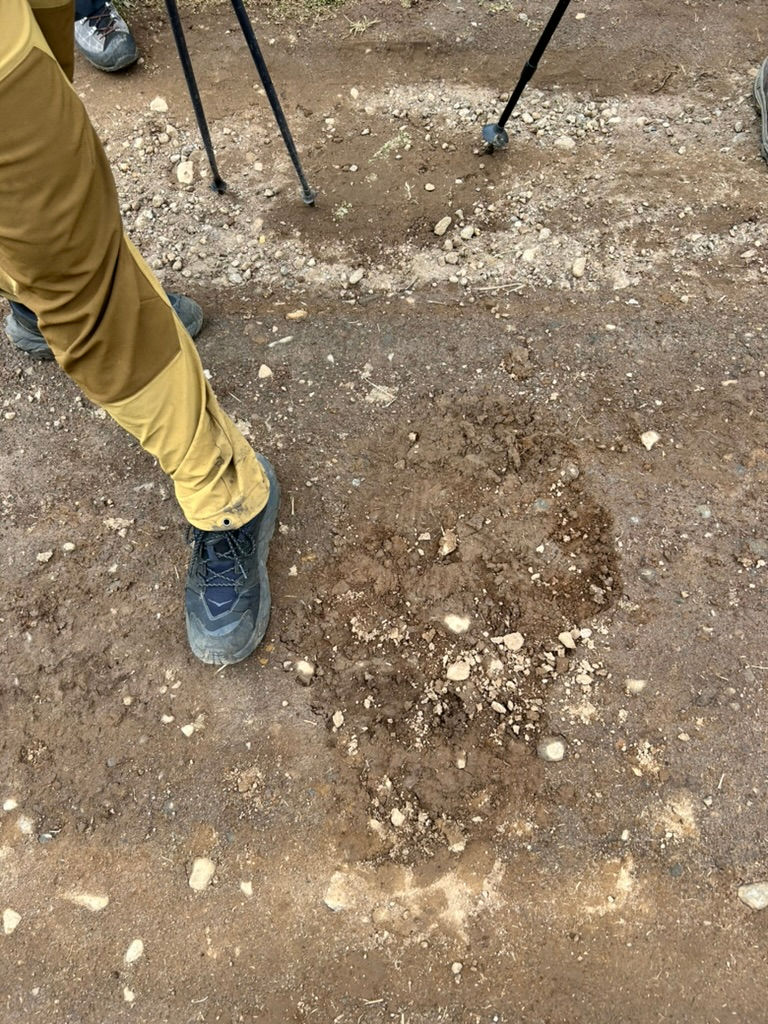 Elephant footprint.