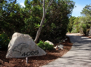 NEWS-3-24-mil-home-taken-by-Eliza-Jason-