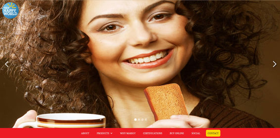 Welcome to TRDP Group's Website Project!