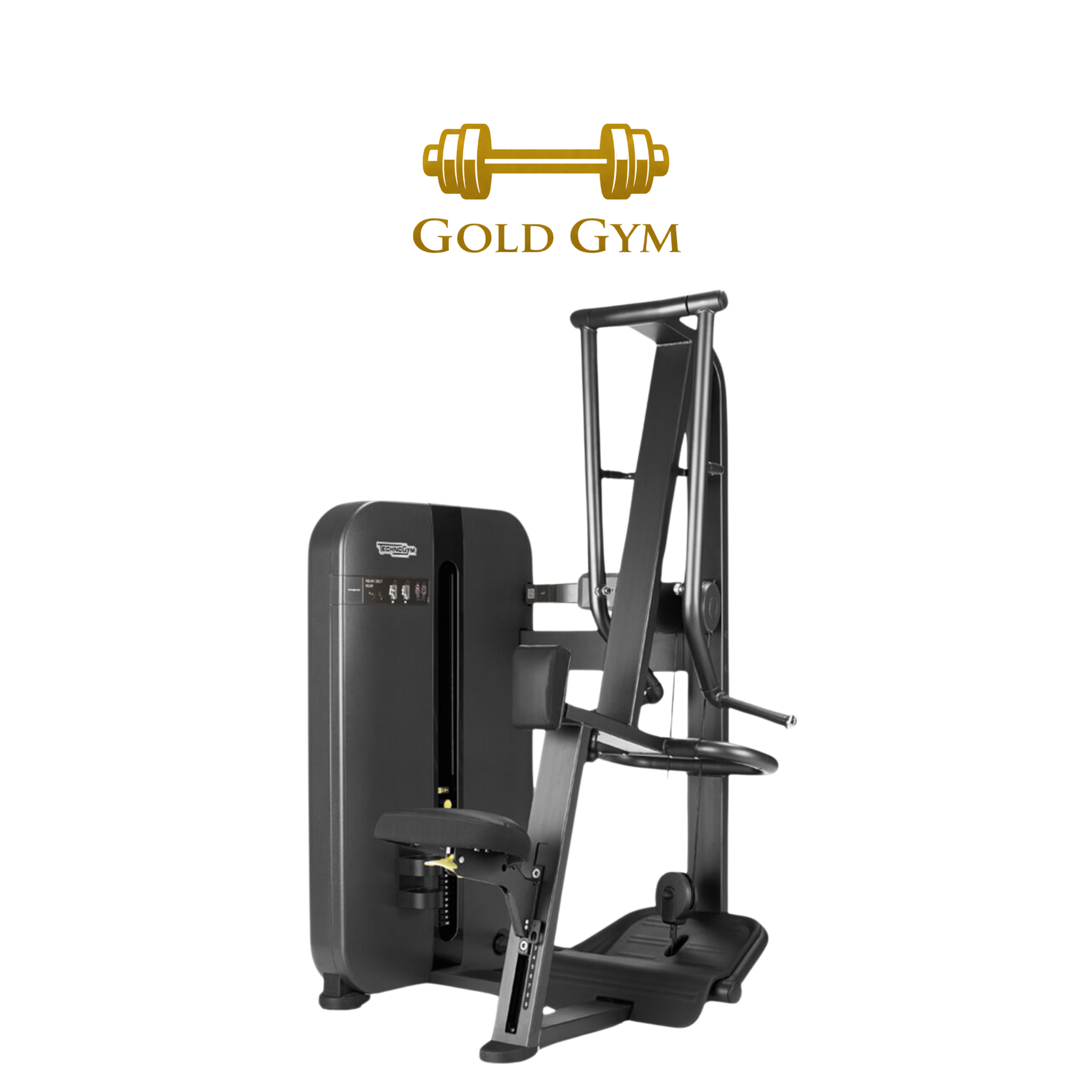 Technogym Artis Strength Rear Delt Row, attrezzatura fitness per allenamento del deltoide posteriore e parte superiore