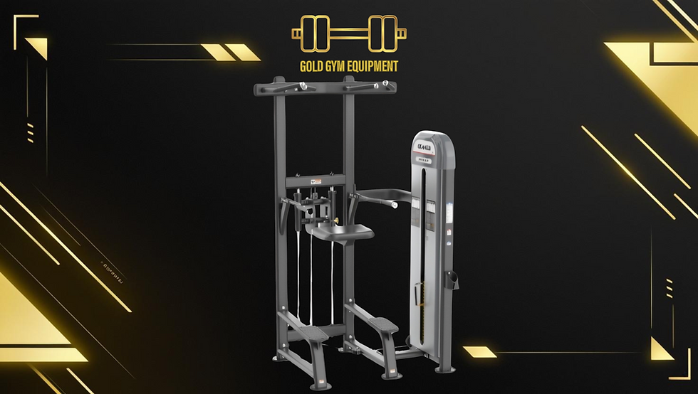 Oemmebi Dip Chin Assist, macchina da palestra per assistenza a trazioni e dip, attrezzatura fitness professionale per allenam