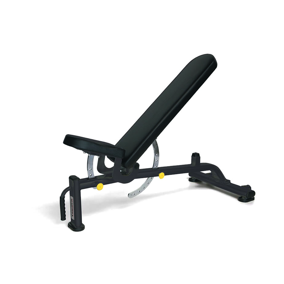 TOORX PROFESSIONAL LINE PANCA REGOLABILE  WBX2200