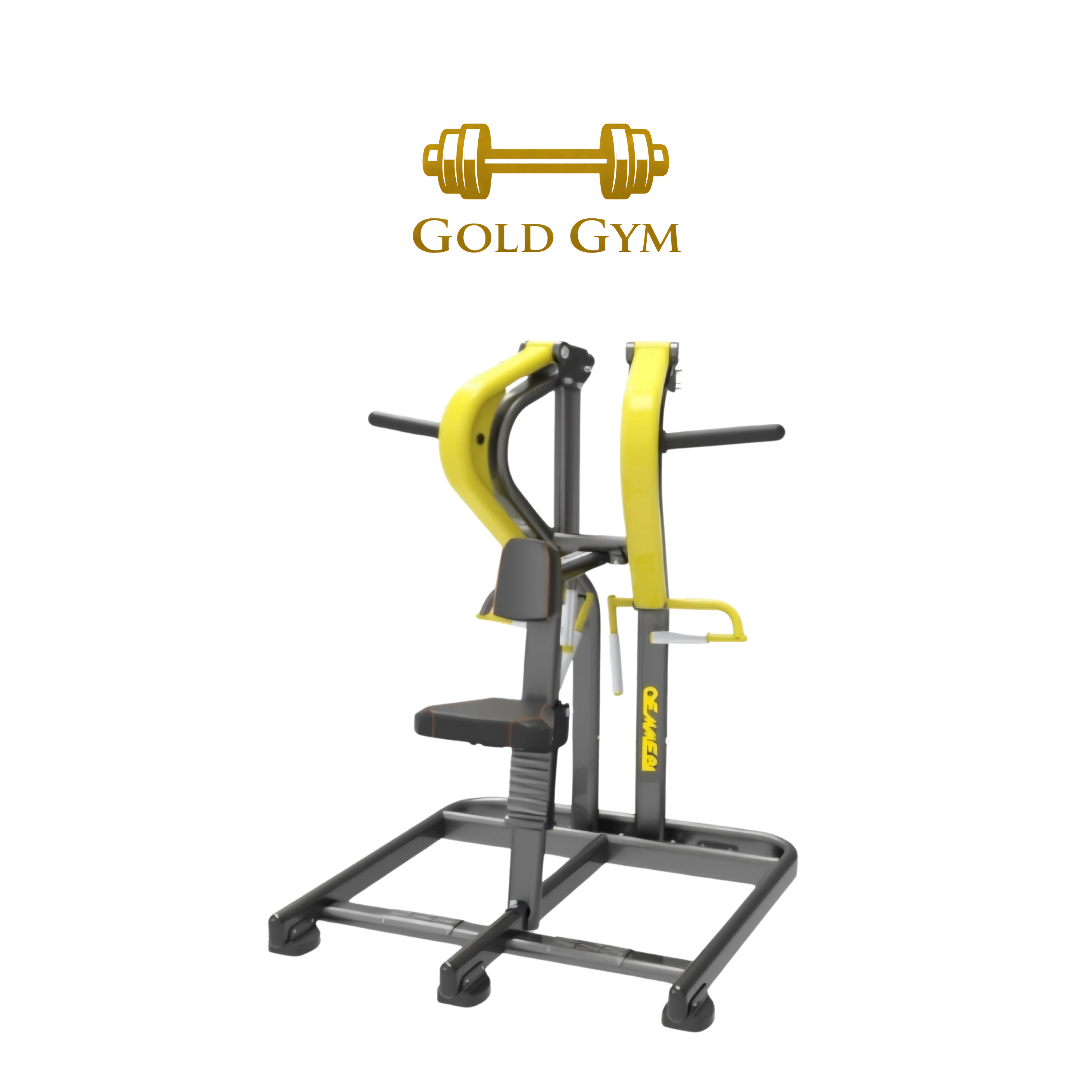 Oemmebi Low Row macchina per allenamento schiena, attrezzatura palestra per rowing, esercizi per la schiena, muscoli dorsali
