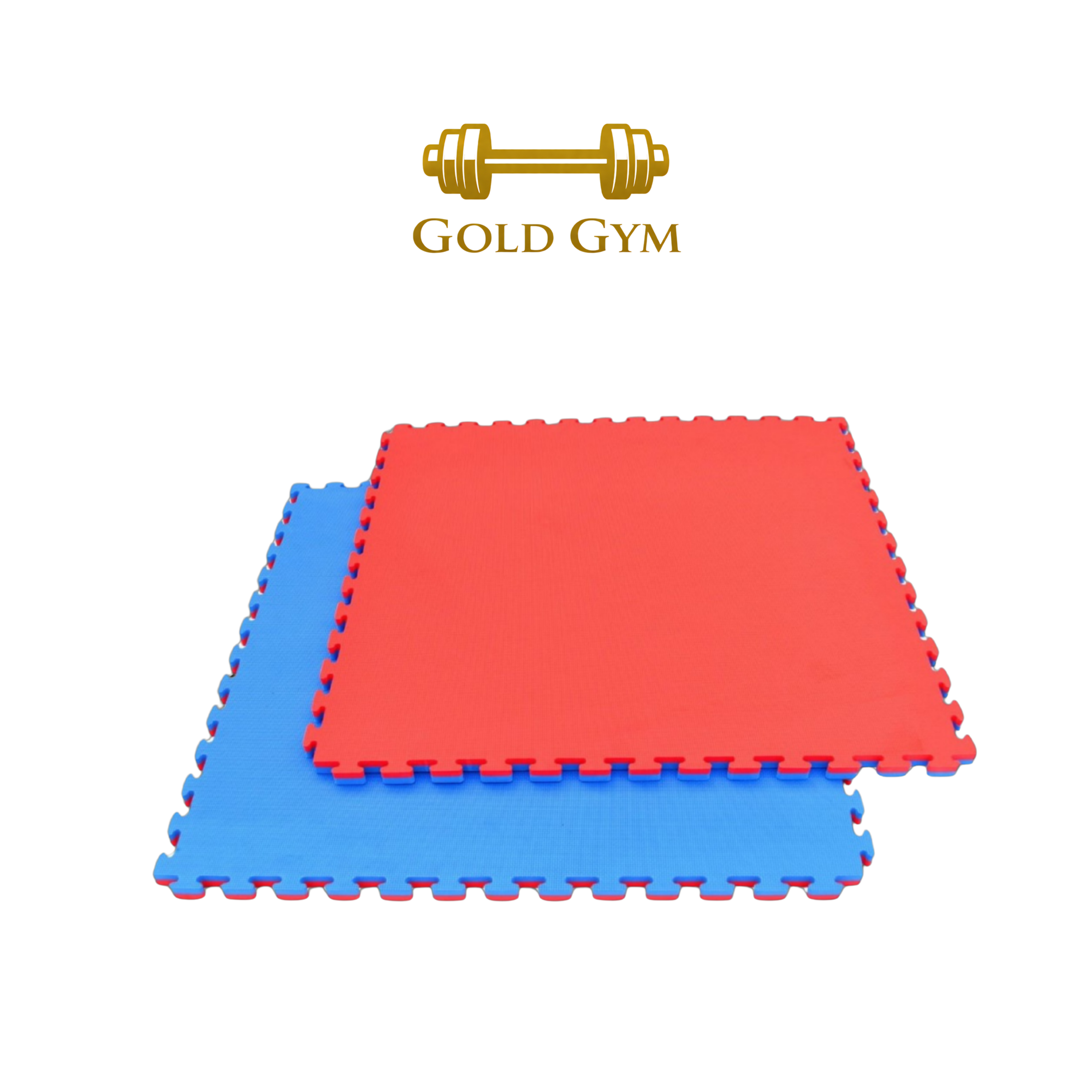 TATAMI DA PALESTRA 1 m x 1 m SPESSORE 20 mm