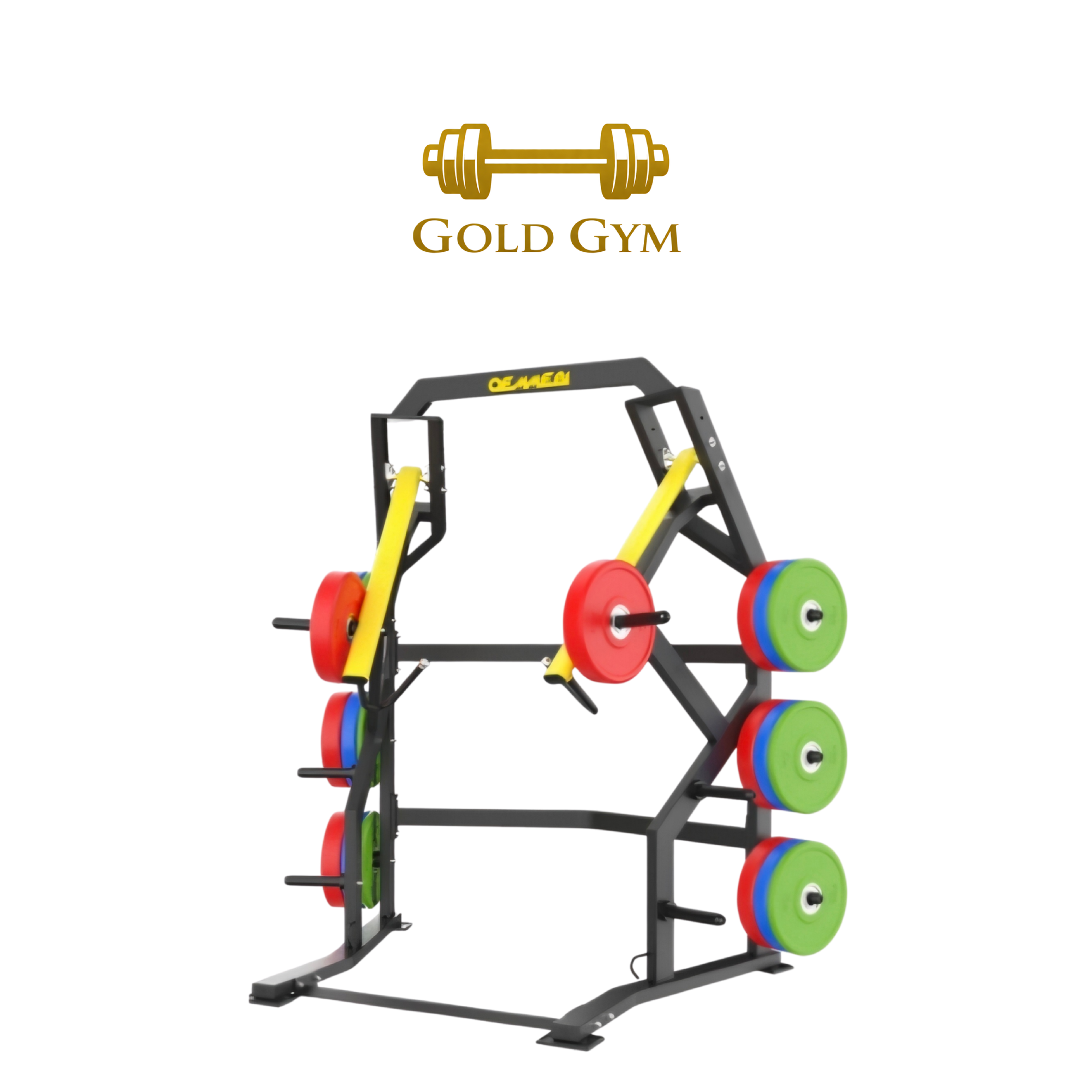Oemmebi Vertical Chest Press per allenamento pettorali, attrezzo plate loaded, macchine palestra