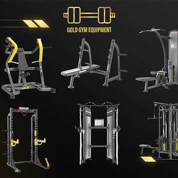komplettes Fitnessgerätepaket Home Gym Studios persönliches Hotel-Fitnessstudio Kraft, Cardio, Gewichte, Rack oemmebi