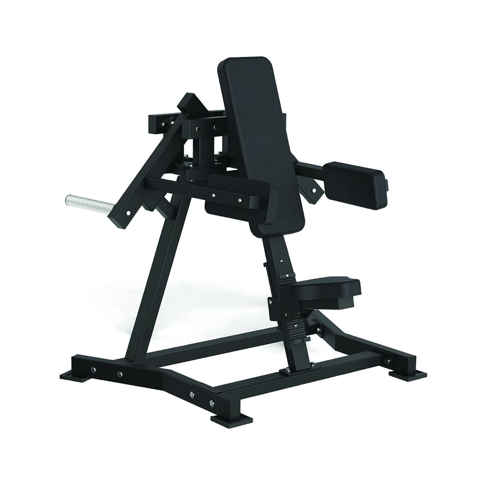 TOORX PRO LINE LATERAL RAISE FWX6500 AVANT LINE PLATE LOADED