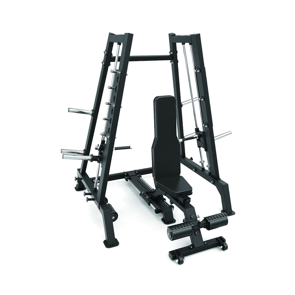 TOORX PRO LINE TOWER SMITH FWX6600 AVANT LINE PLATE LOADED