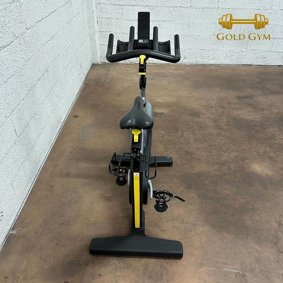 Technogym Bike Spinning Group Connect Grigia, attrezzatura per allenamento spinning in palestra, bici da spinning grigia