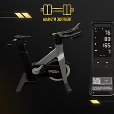 Technogym Bike Spinning Group Connect Grigia, attrezzatura per allenamento spinning in palestra, bici da spinning grigia