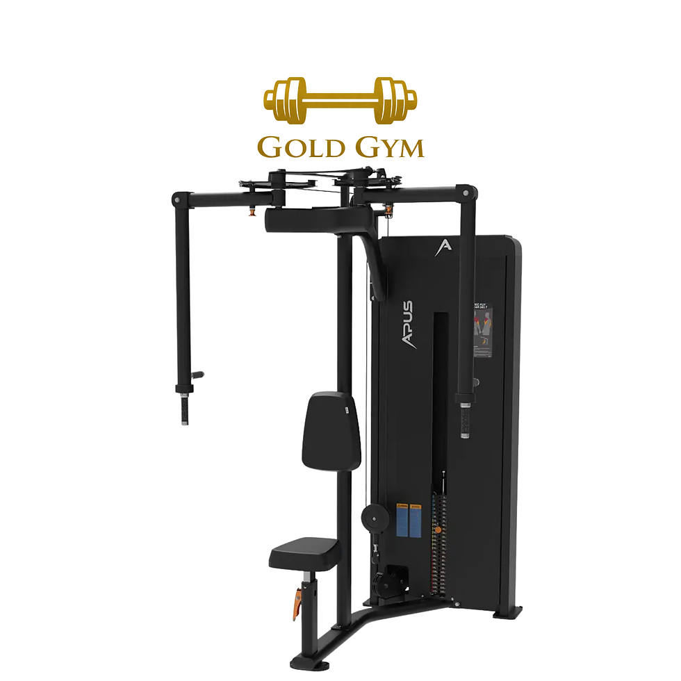 APUS DUAL PEC FLY REAR DELTOIDS SA003 PACCO PESI macchina professionale per allenamento pettorali e deltoidi posteriori