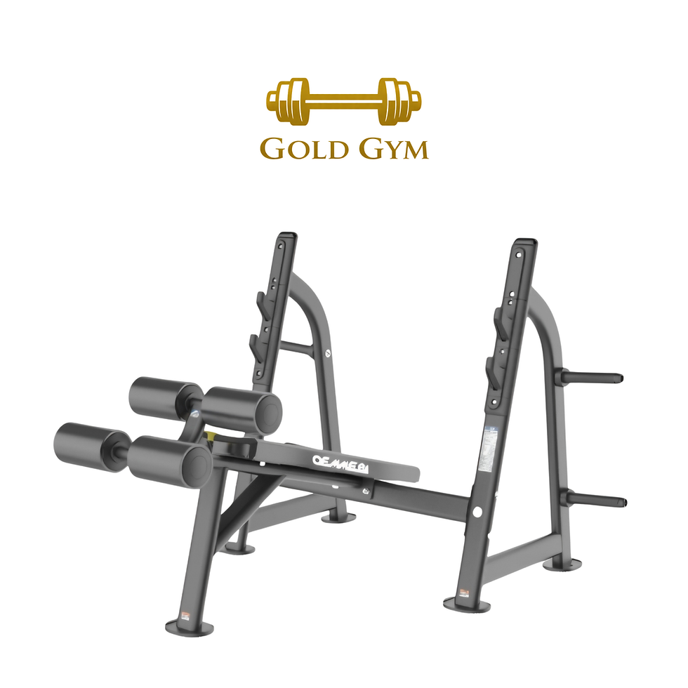 Oemmebi Decline Bench, panca declinata per allenamento pettorali e forza, attrezzatura da palestra professionale per esercizi