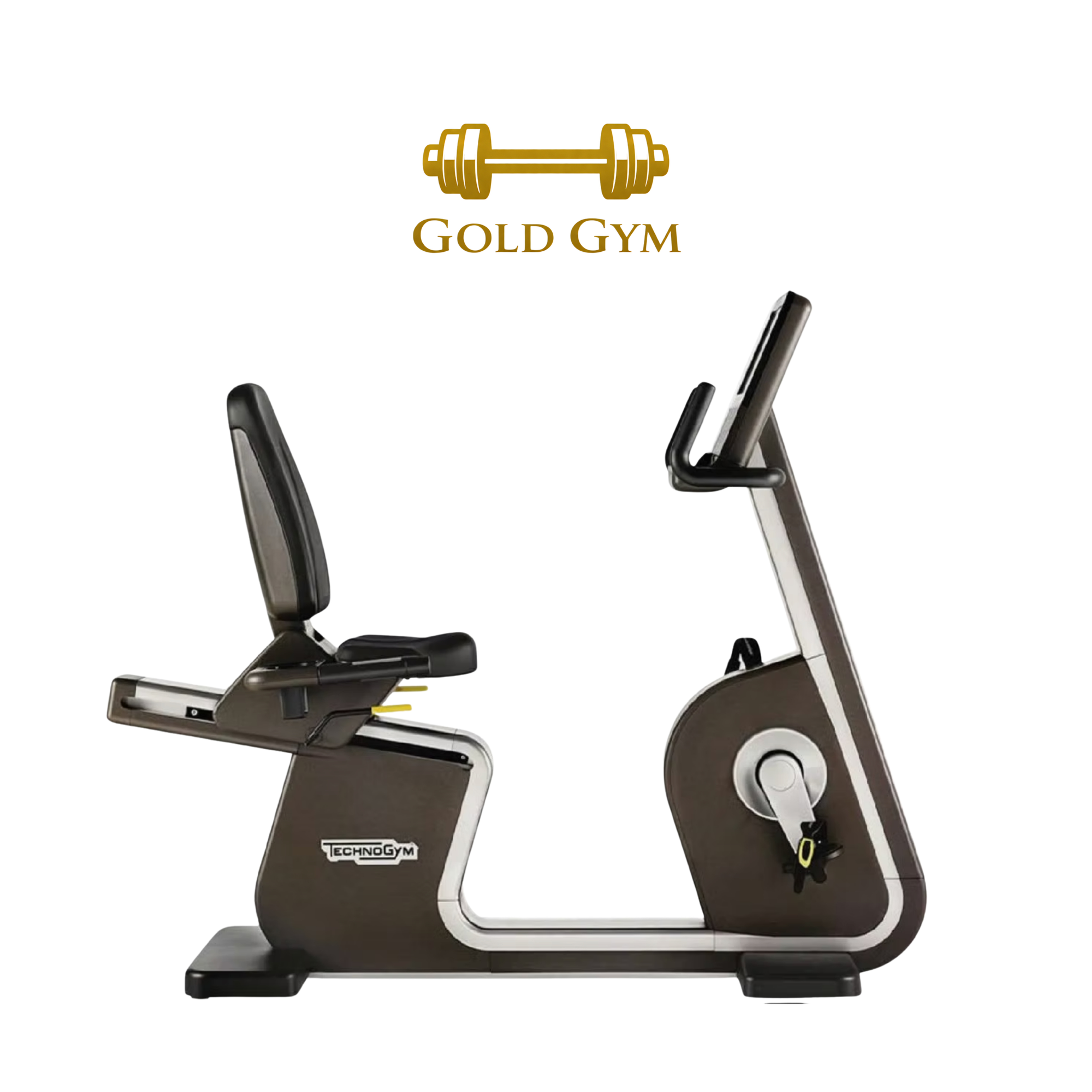 TECHNOGYM BIKE RECLINE ARTIS UNITY CYCLETTE