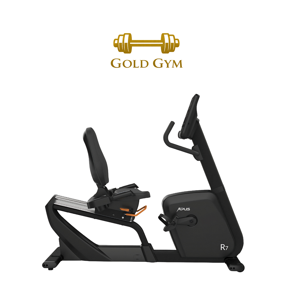Bike Recline Apus R7 LED, attrezzatura cardio per allenamenti indoor, cyclette reclinata con display LED, bici da palestra,